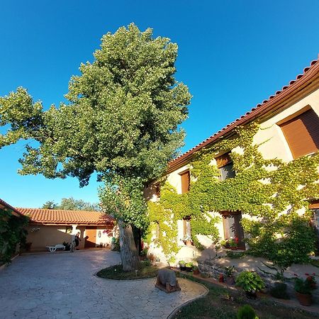 Casa Atenea Pension Zamora Buitenkant foto