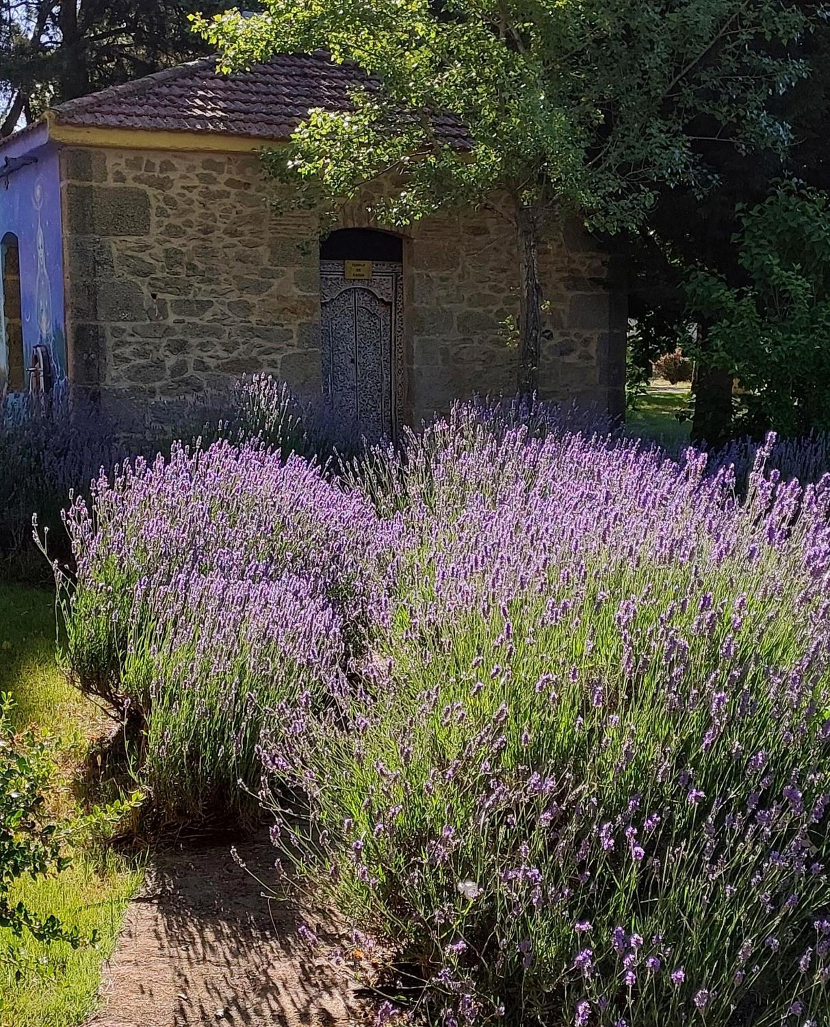 Casa Atenea Pension Zamora Buitenkant foto